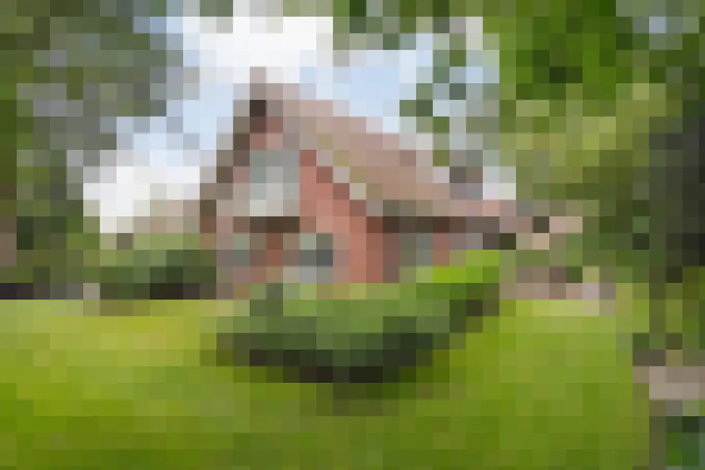 De Omloop 8 Balkbrug thumbnail 46