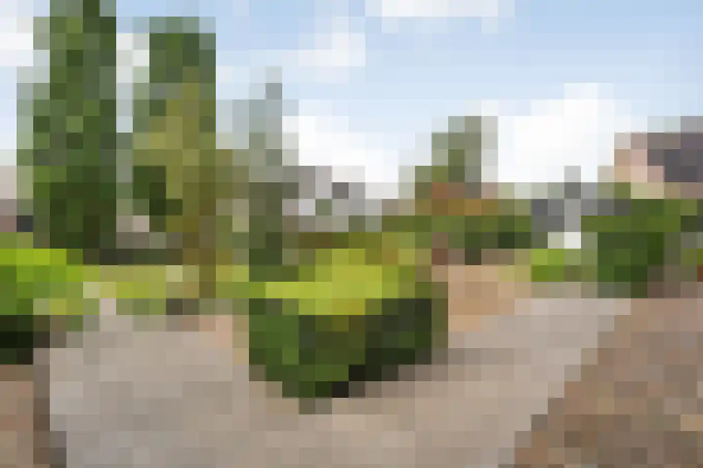 De Omloop 8 Balkbrug thumbnail 48