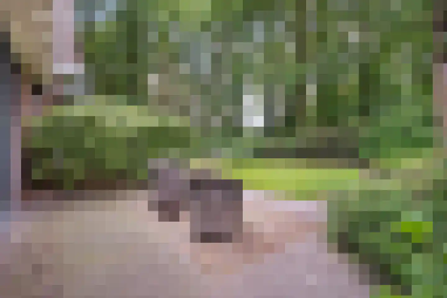De Omloop 8 Balkbrug thumbnail 49