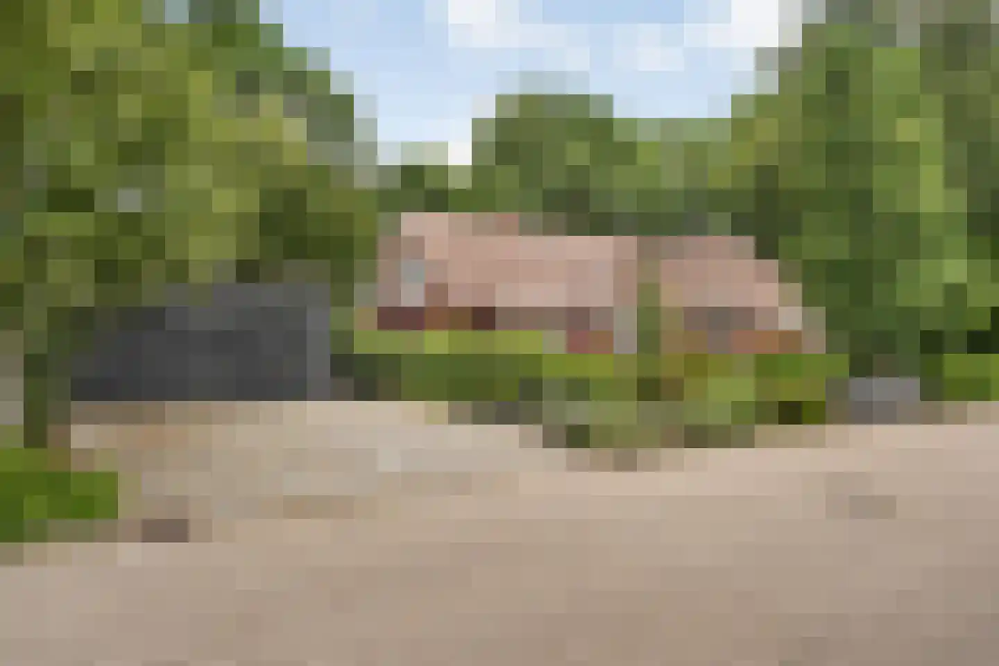 De Omloop 8 Balkbrug thumbnail 5