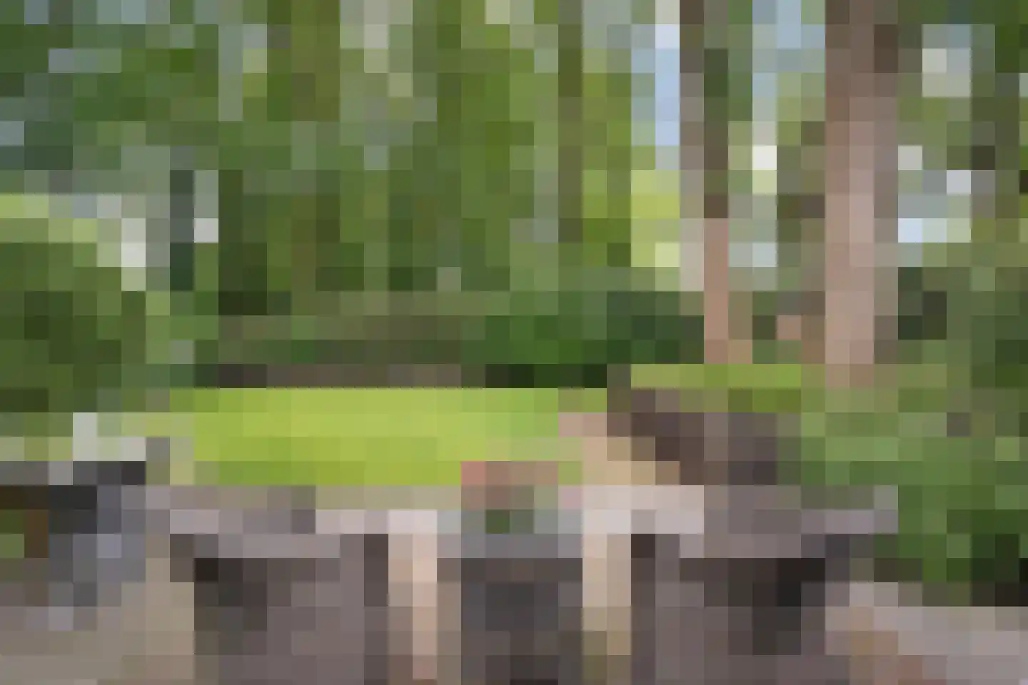 De Omloop 8 Balkbrug thumbnail 50