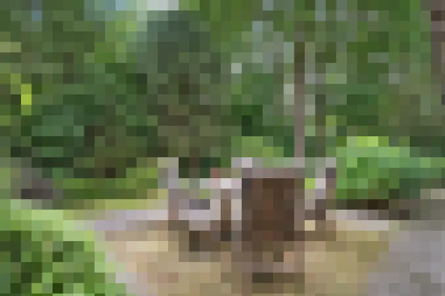 De Omloop 8 Balkbrug thumbnail 52
