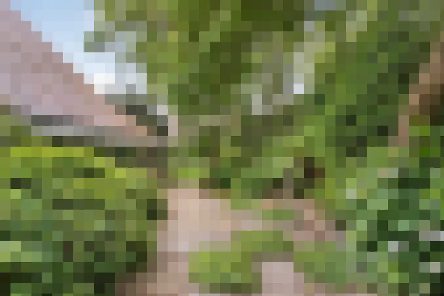 De Omloop 8 Balkbrug thumbnail 53