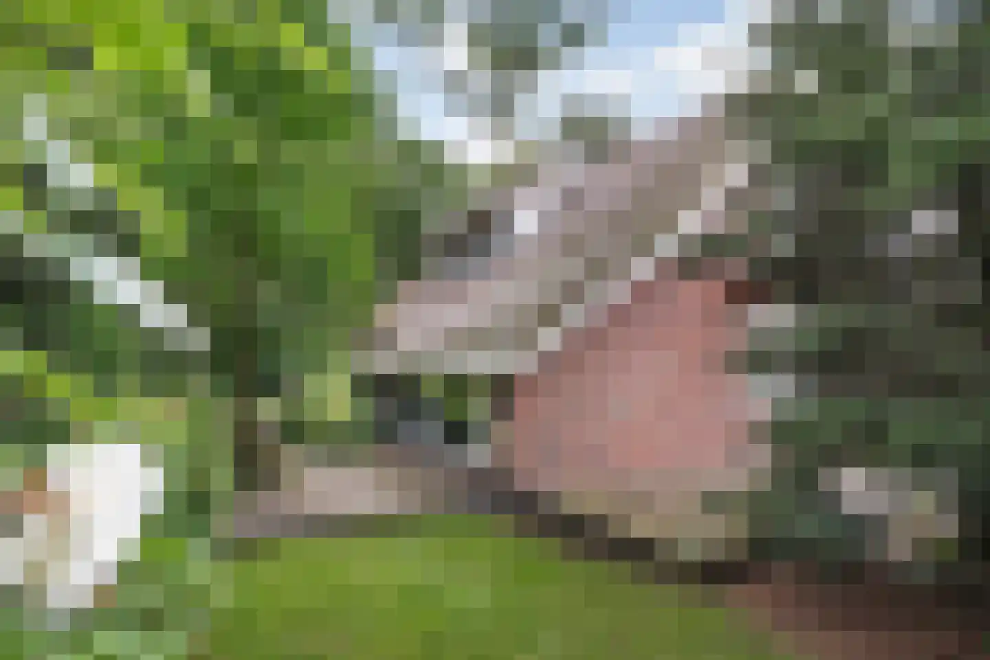 De Omloop 8 Balkbrug thumbnail 54
