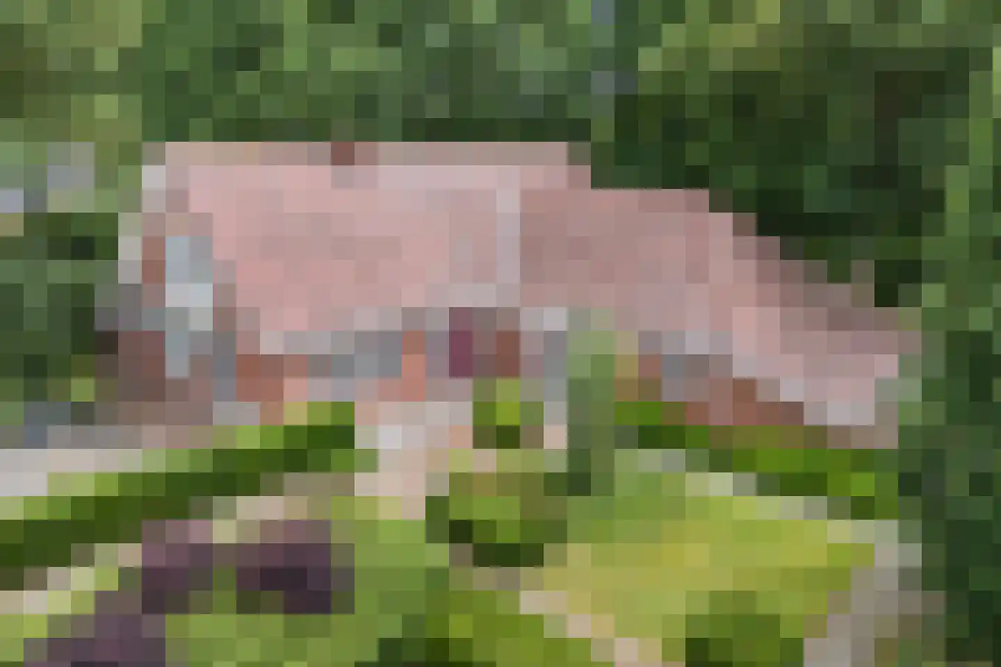 De Omloop 8 Balkbrug thumbnail 6