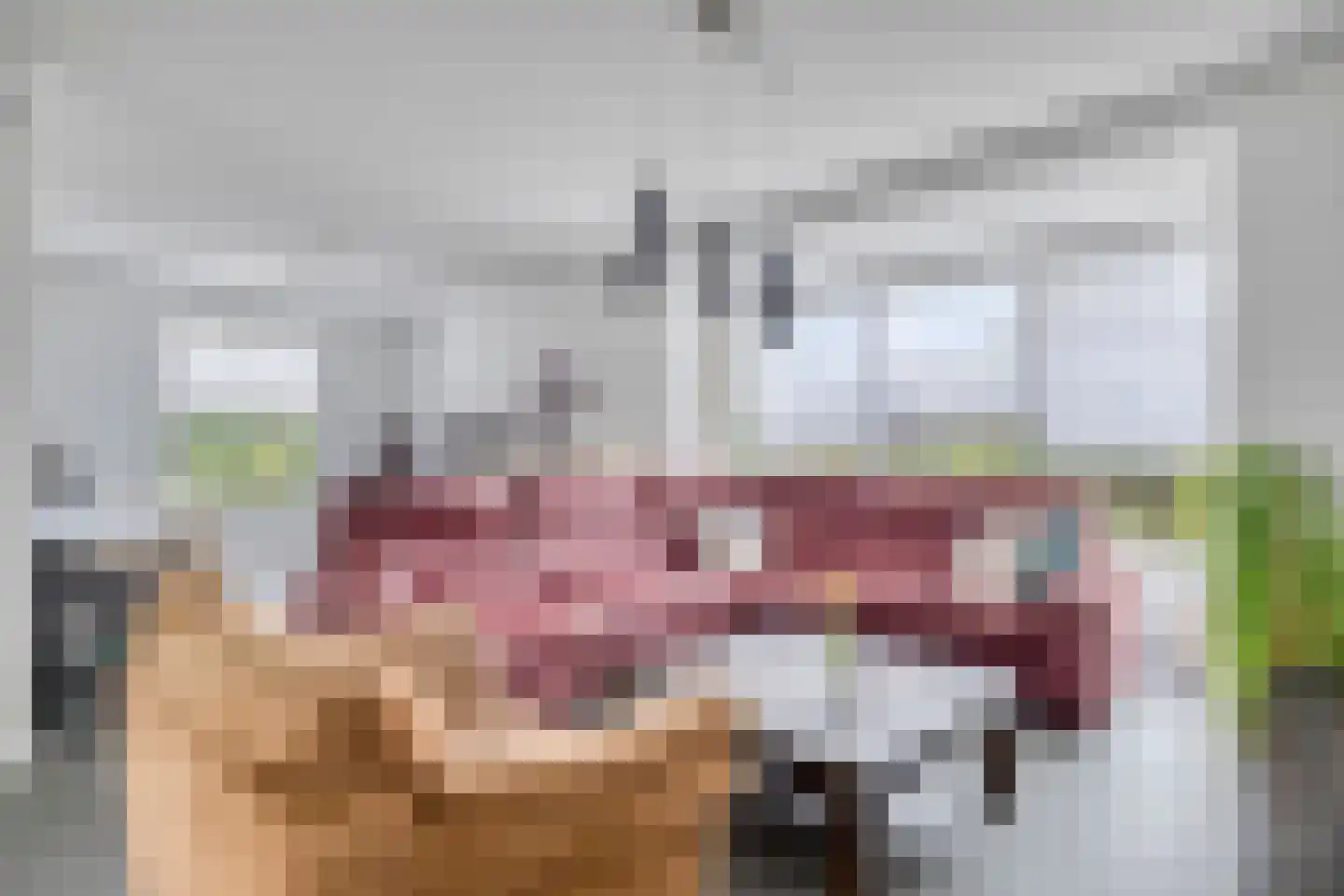 De Omloop 8 Elshout thumbnail 10