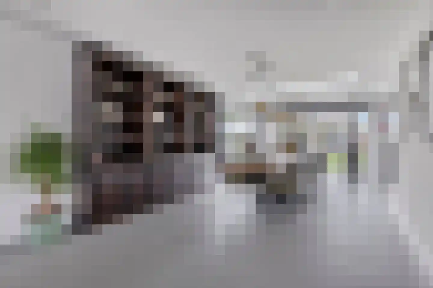 De Omloop 8 Elshout thumbnail 13