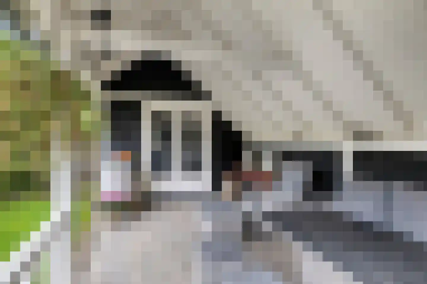 De Omloop 8 Elshout thumbnail 42