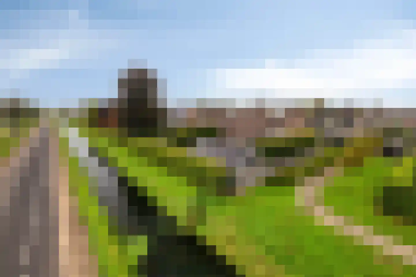 De Omloop 8 Elshout thumbnail 49