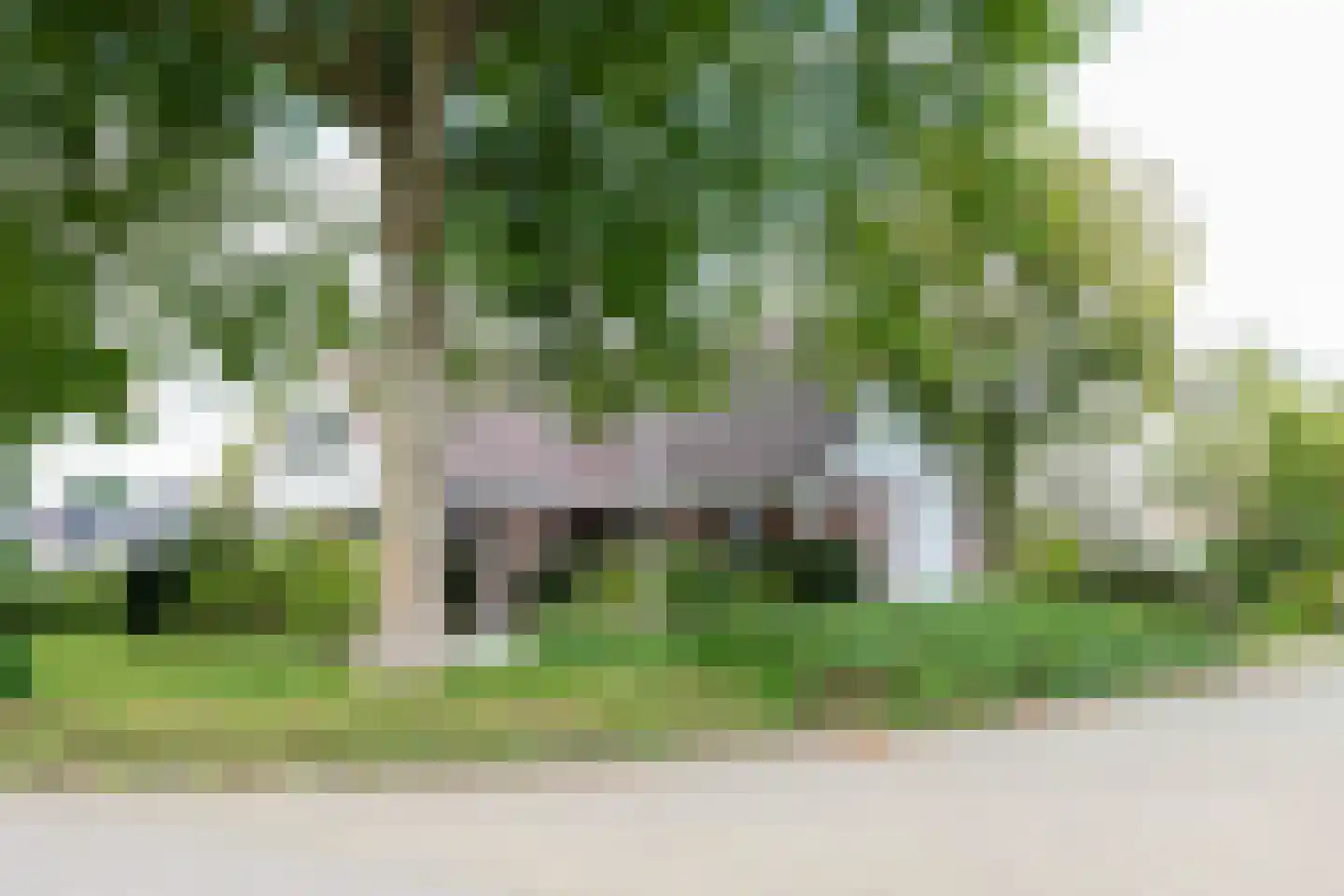 De Ommegang 21 Niekerk thumbnail 10
