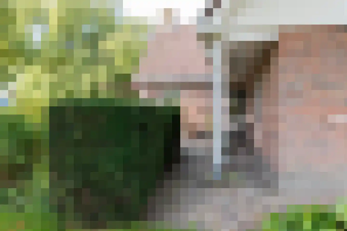 De Ommegang 21 Niekerk thumbnail 12