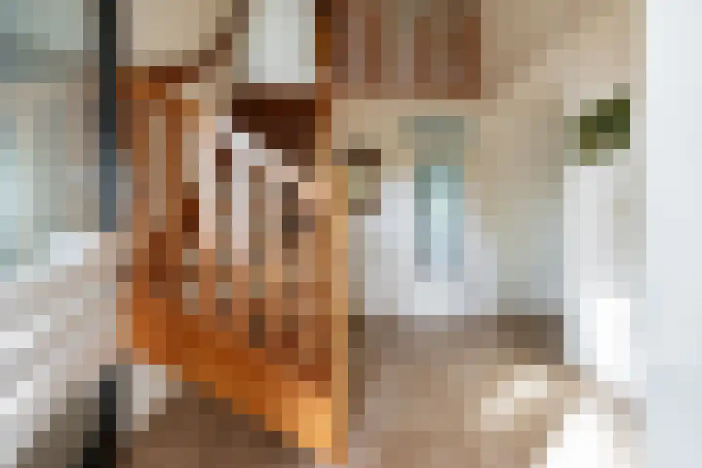 De Ommegang 21 Niekerk thumbnail 14