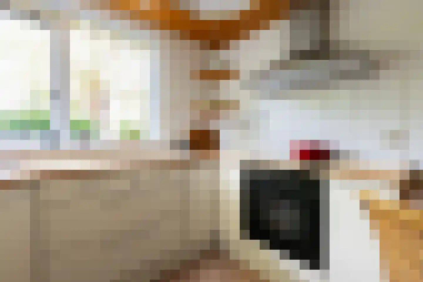 De Ommegang 21 Niekerk thumbnail 22