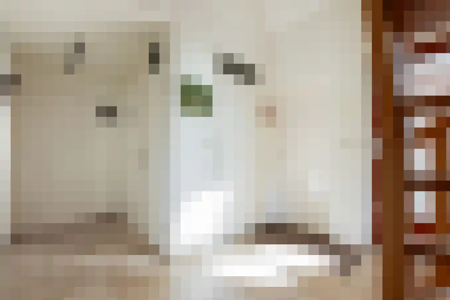 De Ommegang 21 Niekerk thumbnail 27