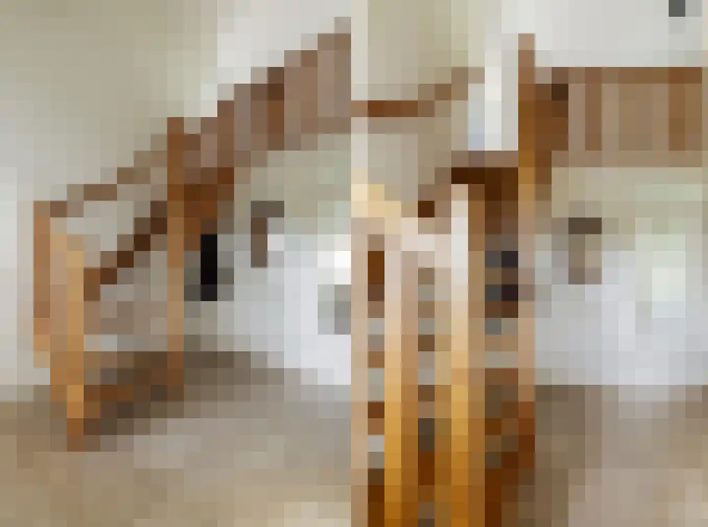 De Ommegang 21 Niekerk thumbnail 34
