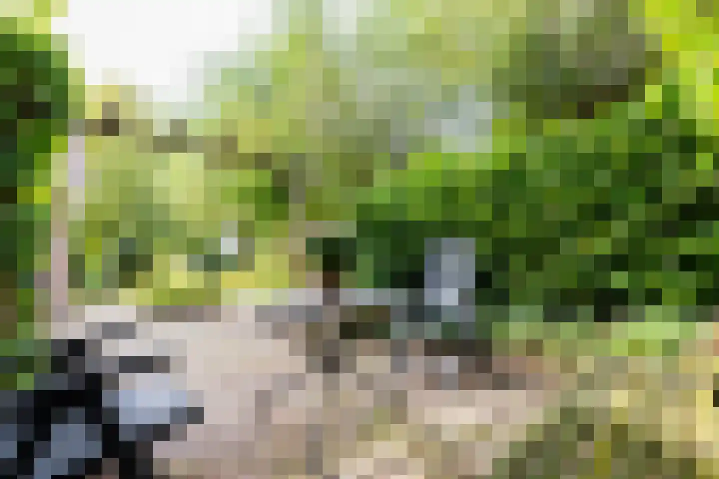 De Ommegang 21 Niekerk thumbnail 4