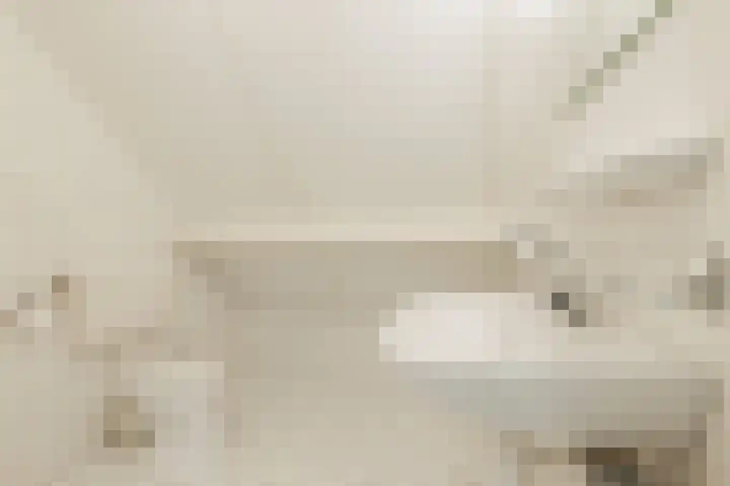 De Ommegang 21 Niekerk thumbnail 47