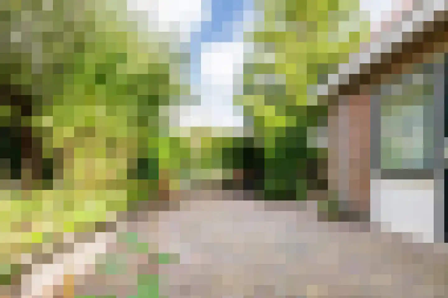De Ommegang 21 Niekerk thumbnail 50
