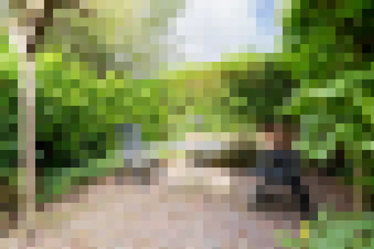 De Ommegang 21 Niekerk thumbnail 52