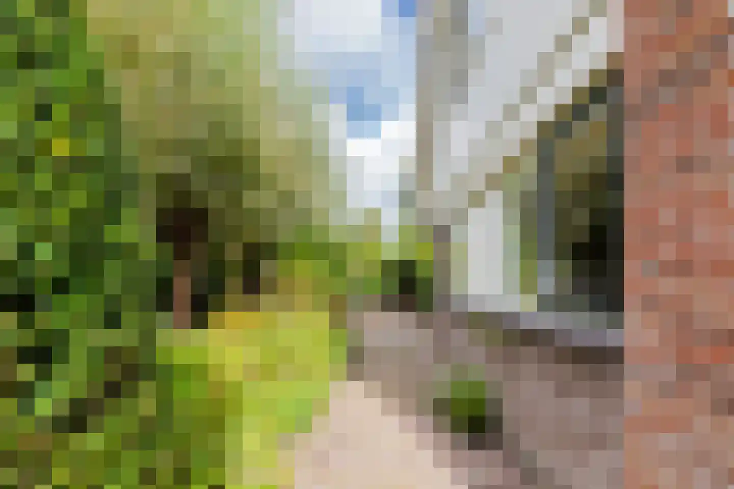 De Ommegang 21 Niekerk thumbnail 53