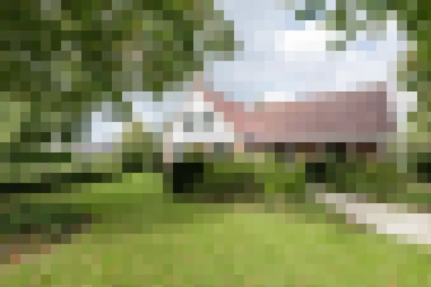 De Ommegang 21 Niekerk thumbnail 55