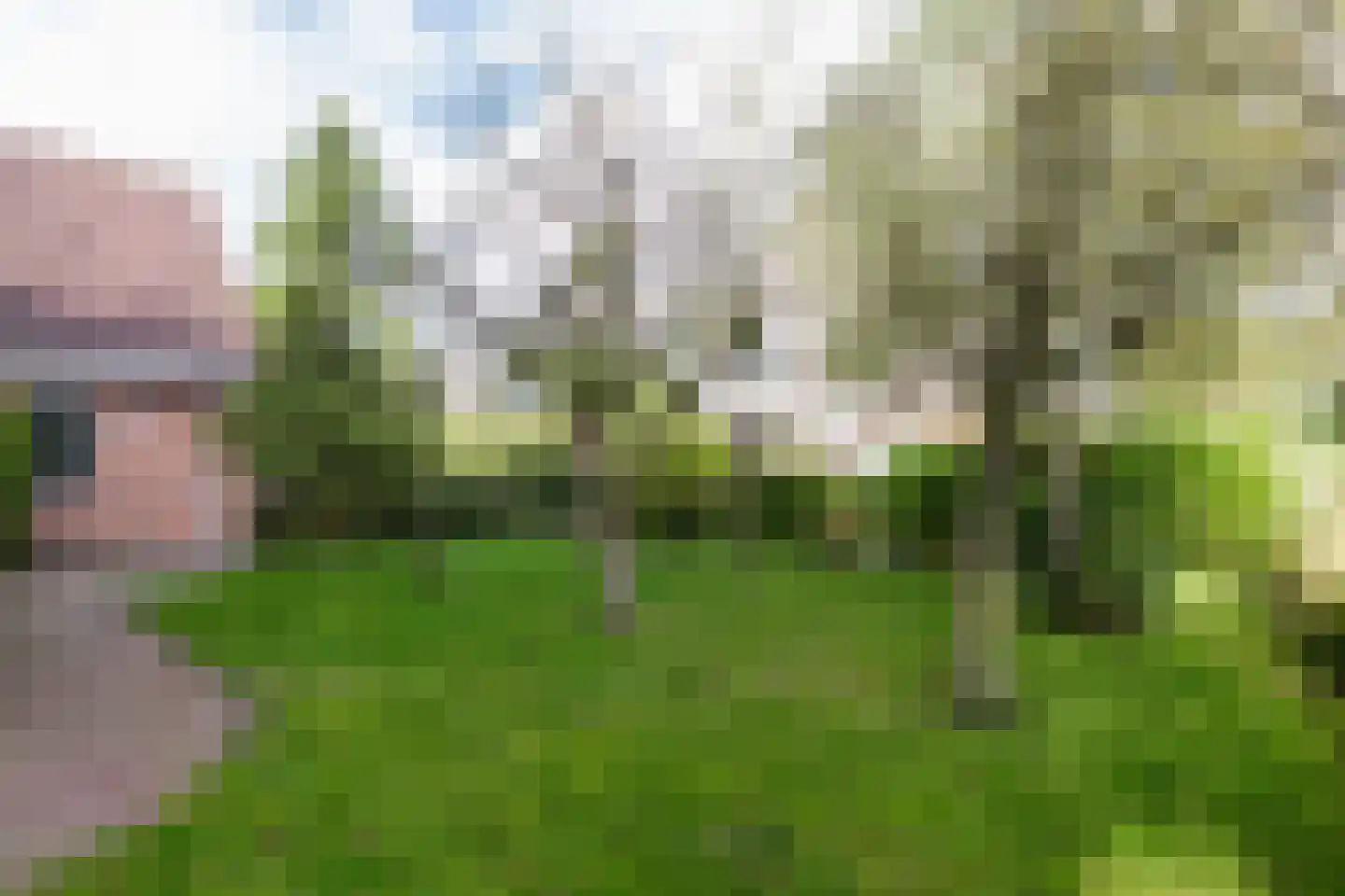 De Ommegang 21 Niekerk thumbnail 56