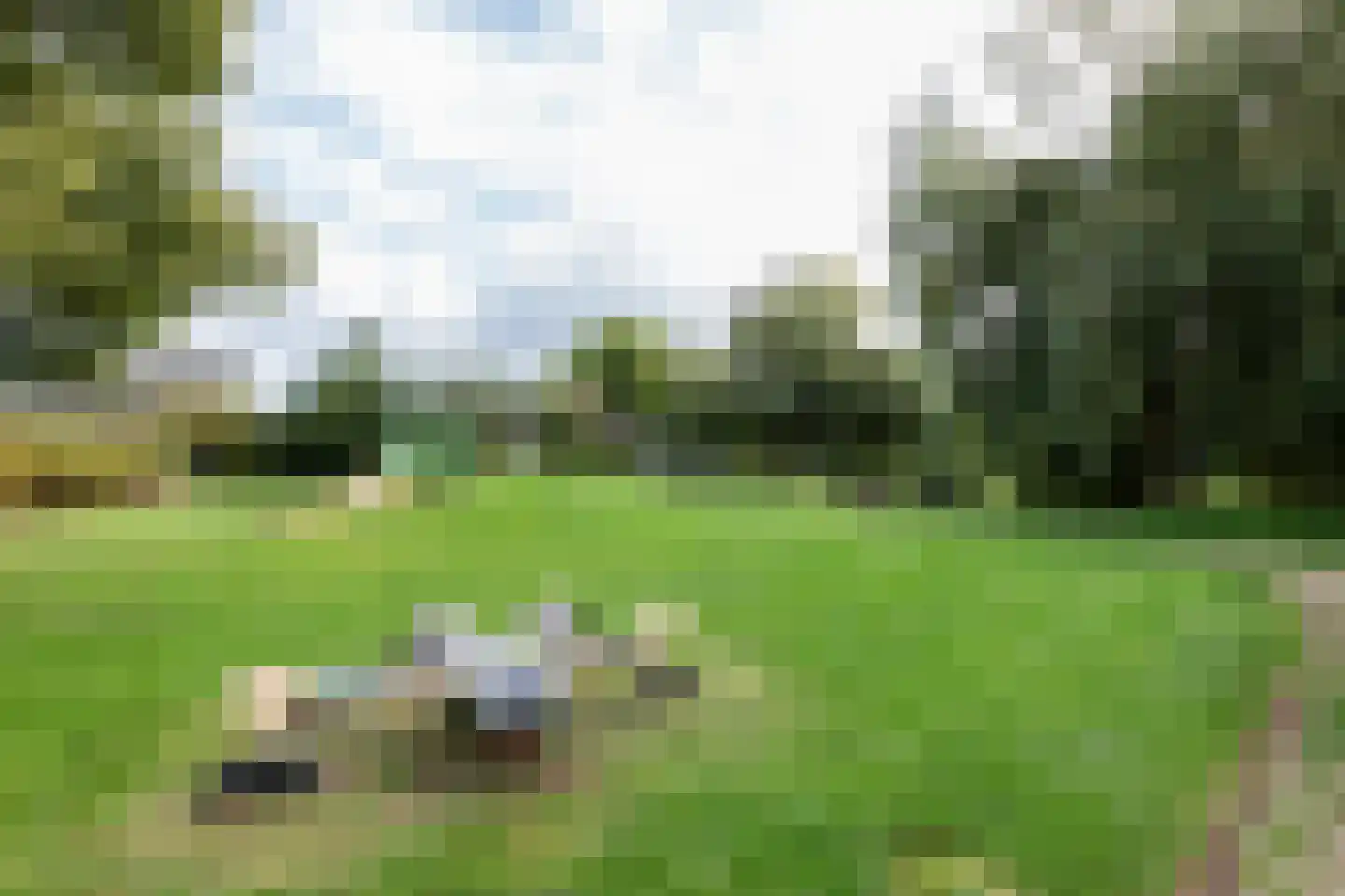 De Ommegang 21 Niekerk thumbnail 58
