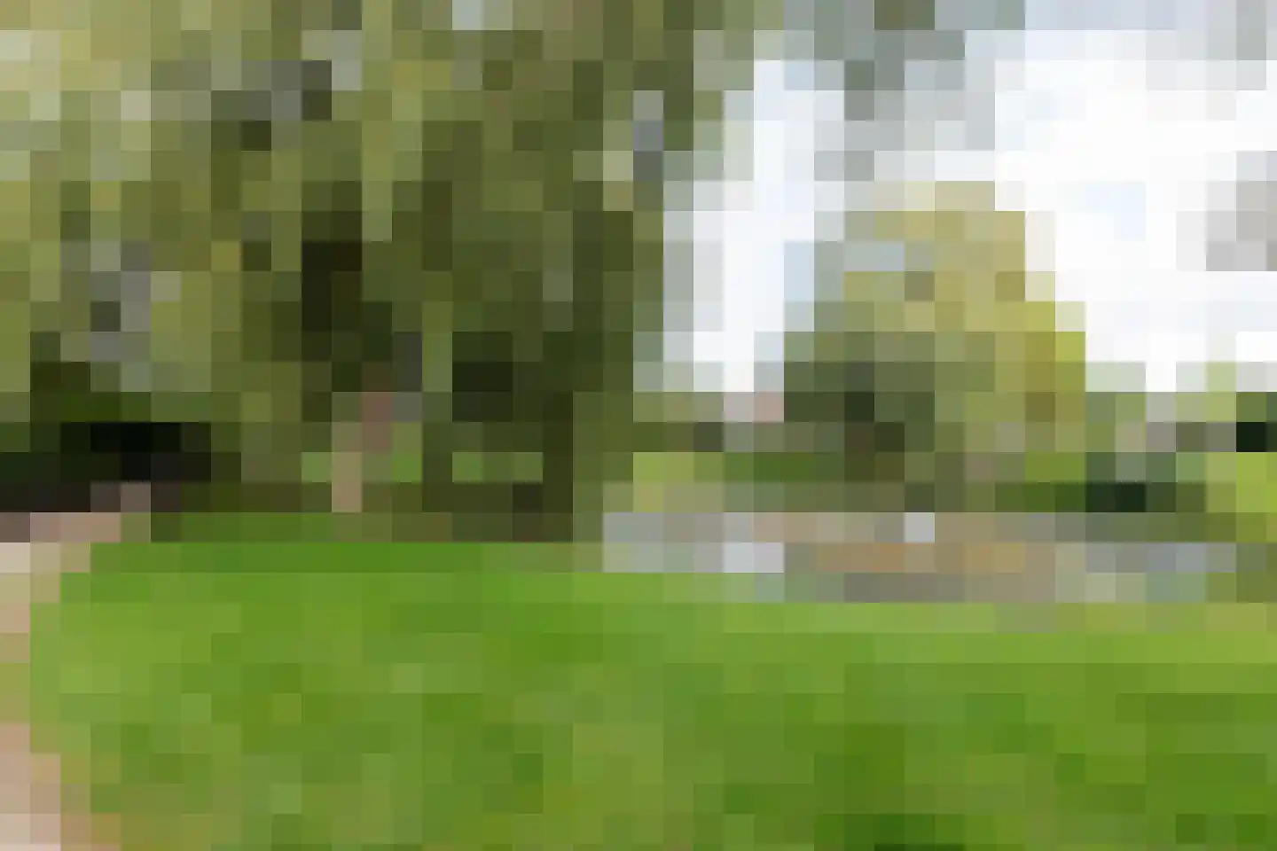 De Ommegang 21 Niekerk thumbnail 8
