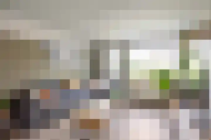 De Ommegang 9 Niekerk thumbnail 10