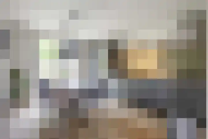 De Ommegang 9 Niekerk thumbnail 12