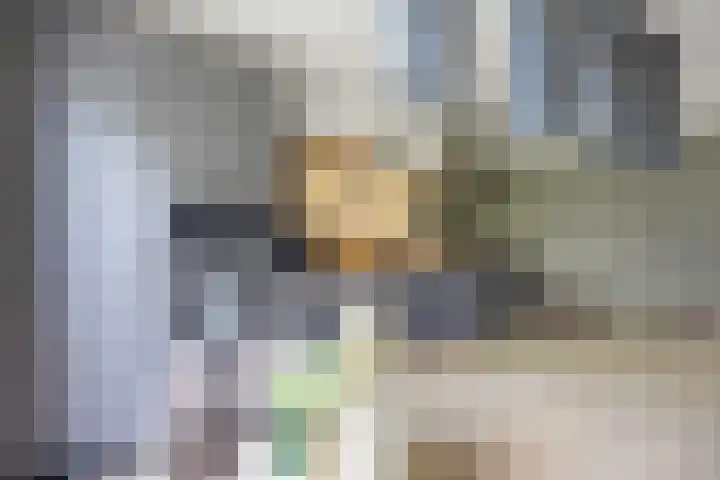 De Ommegang 9 Niekerk thumbnail 14