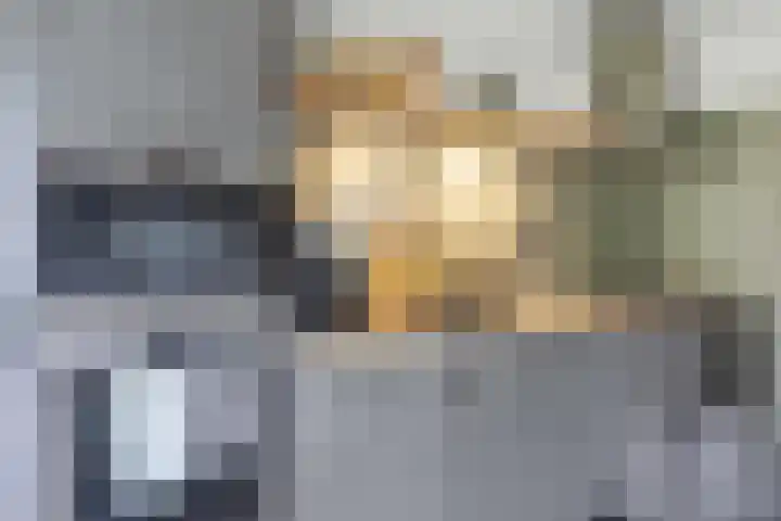 De Ommegang 9 Niekerk thumbnail 15