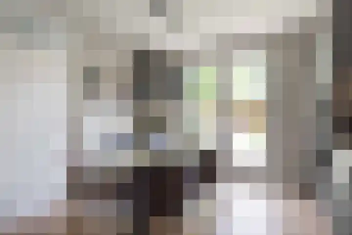 De Ommegang 9 Niekerk thumbnail 16