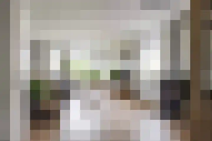 De Ommegang 9 Niekerk thumbnail 17