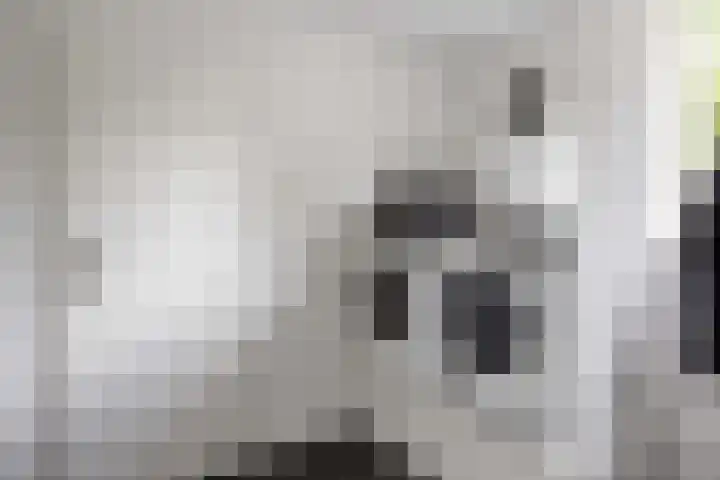 De Ommegang 9 Niekerk thumbnail 18