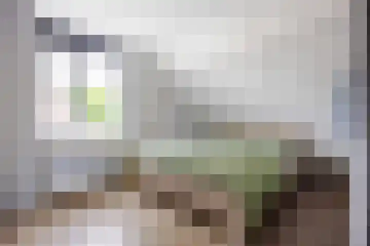 De Ommegang 9 Niekerk thumbnail 22