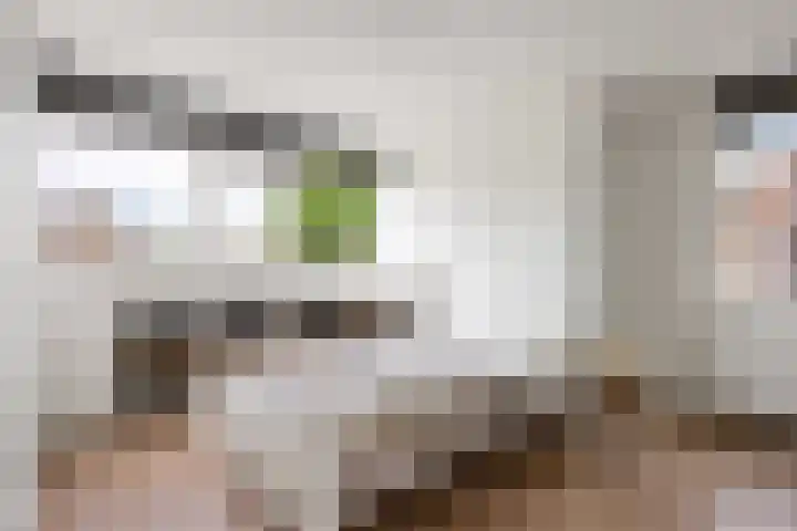 De Ommegang 9 Niekerk thumbnail 27