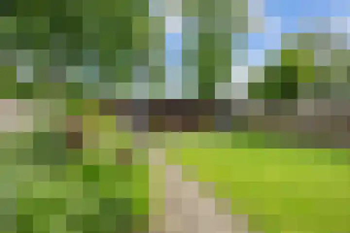De Ommegang 9 Niekerk thumbnail 30