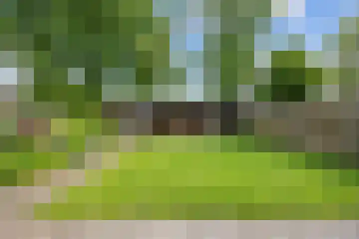 De Ommegang 9 Niekerk thumbnail 31