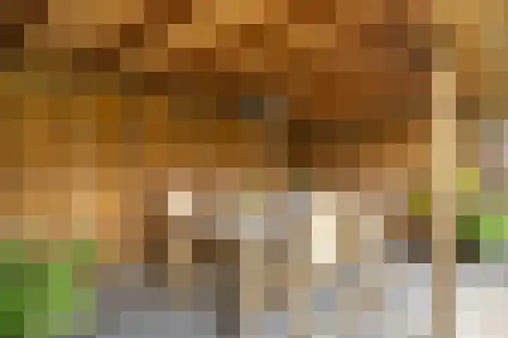 De Ommegang 9 Niekerk thumbnail 33