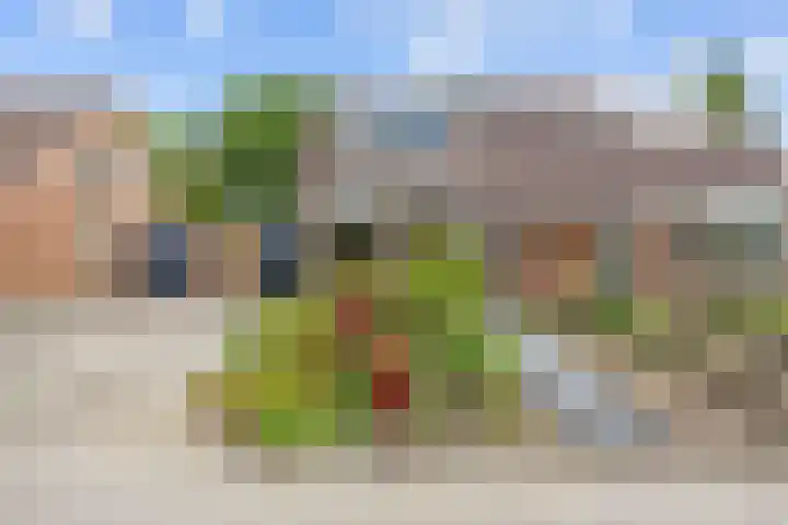 De Ommegang 9 Niekerk thumbnail 5