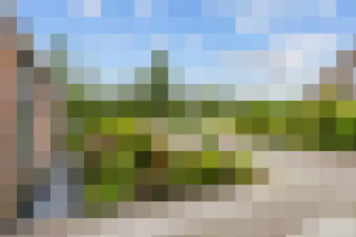 De Ommegang 9 Niekerk thumbnail 6