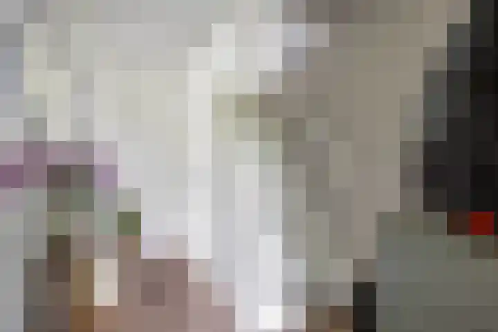 De Ommegang 9 Niekerk thumbnail 7