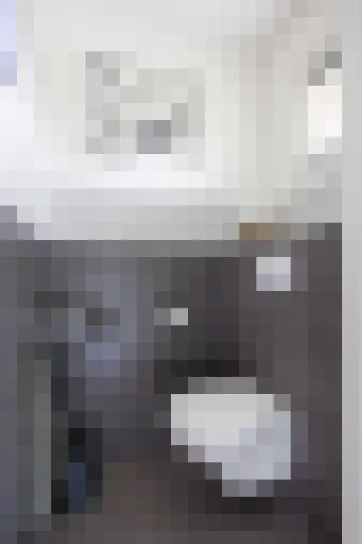 De Ommegang 9 Niekerk thumbnail 8