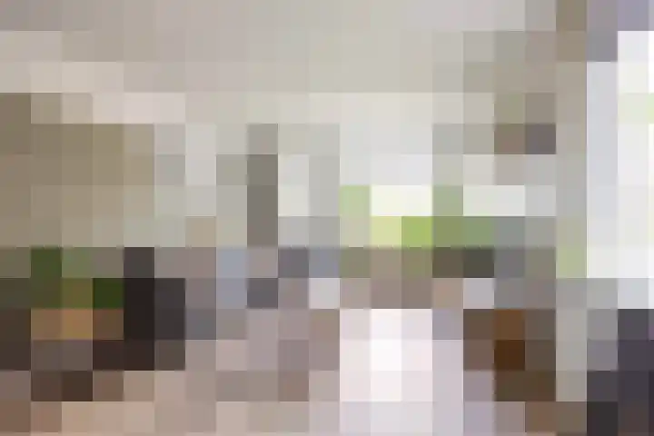 De Ommegang 9 Niekerk thumbnail 9