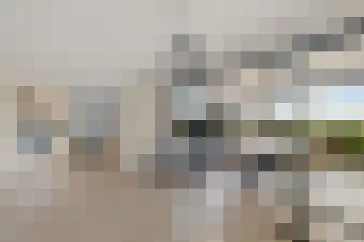 De Omrin 40 Winsum thumbnail 11