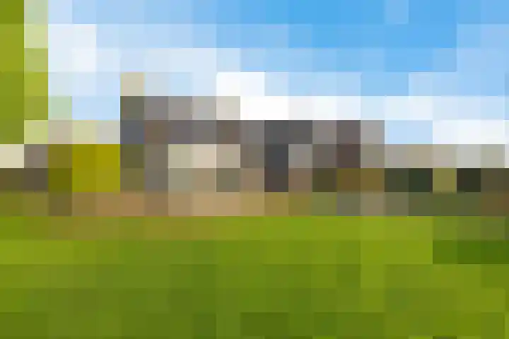 De Omrin 40 Winsum thumbnail 19