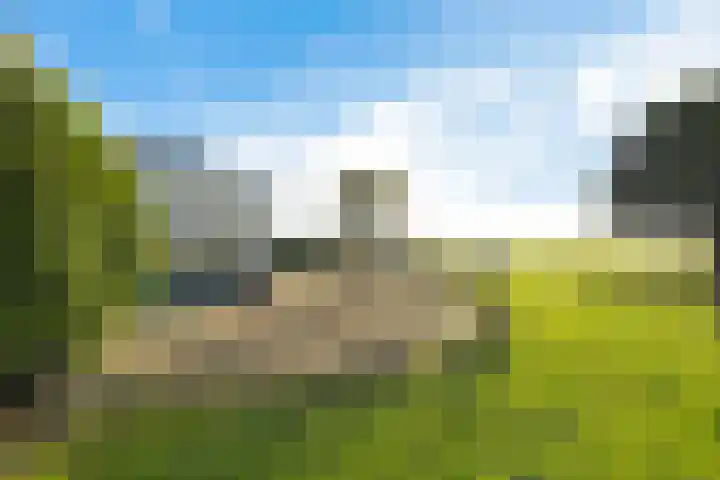 De Omrin 40 Winsum thumbnail 20