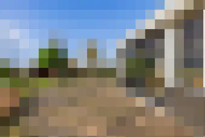 De Omrin 40 Winsum thumbnail 24