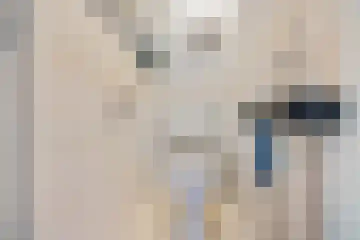 De Omrin 40 Winsum thumbnail 28
